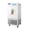 Electric Constant Temperature Incubator